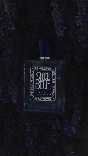 STORY_-_Shade_of_Blue_(9-16)_.mp4