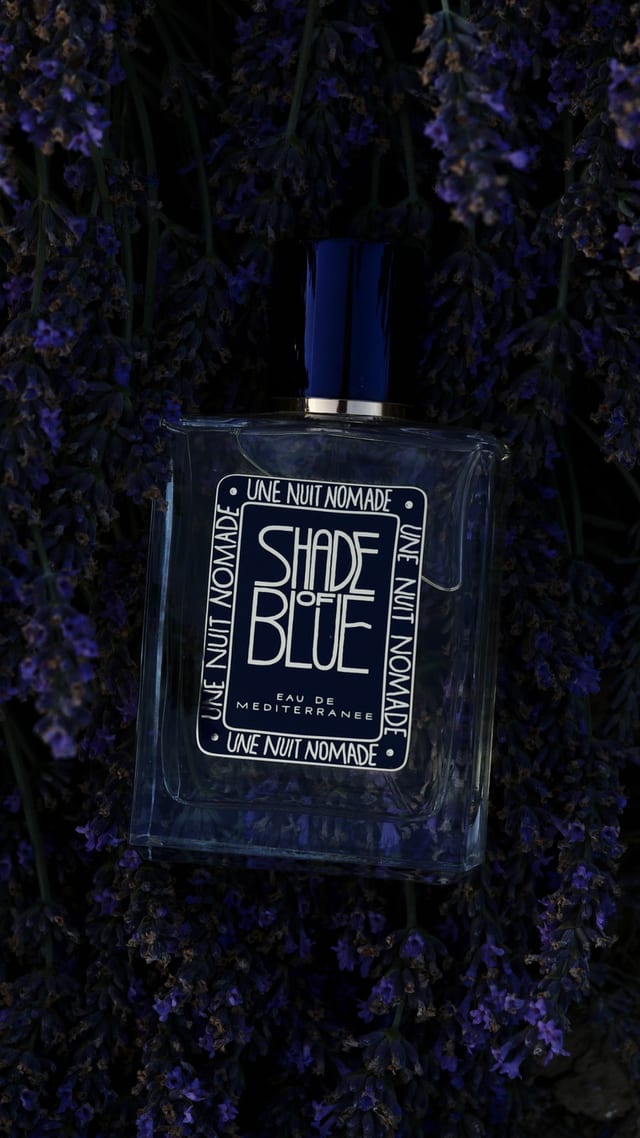 INSTA_UNN_SHADE_OF_BLUE_16_ok.jpg