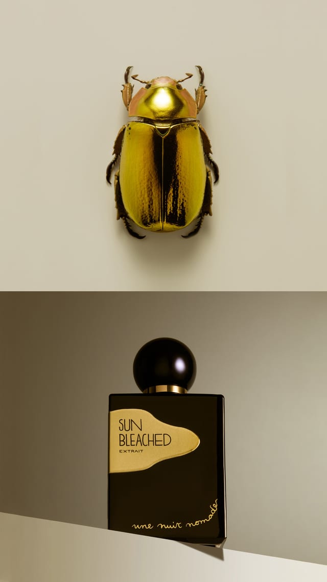 Story-Kenyon-Extrait-Sun-Bleached-4.3_story.jpg